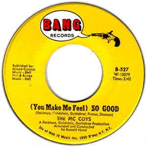The McCoys - (You Make Me Feel) SO GOOD (45 rpm)